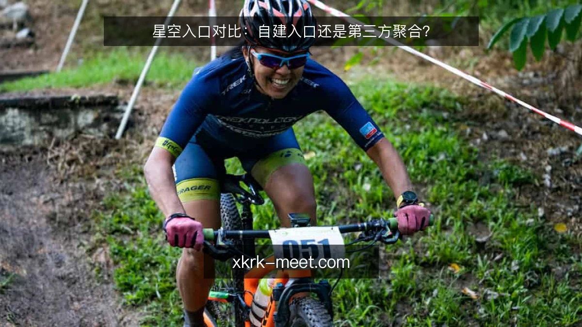 星空入口对比：自建入口还是第三方聚合？