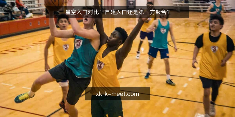 星空入口对比:自建入口还是第三方聚合? — 为什么现在要审计入口方案 配图