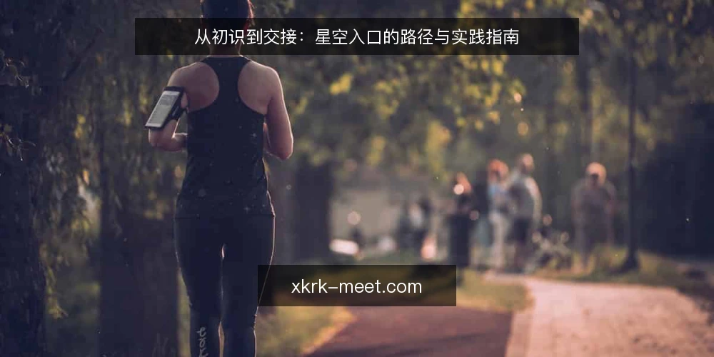 从初识到交接:星空入口的路径与实践指南 — 基线:建立星空入口的认知坐标 配图