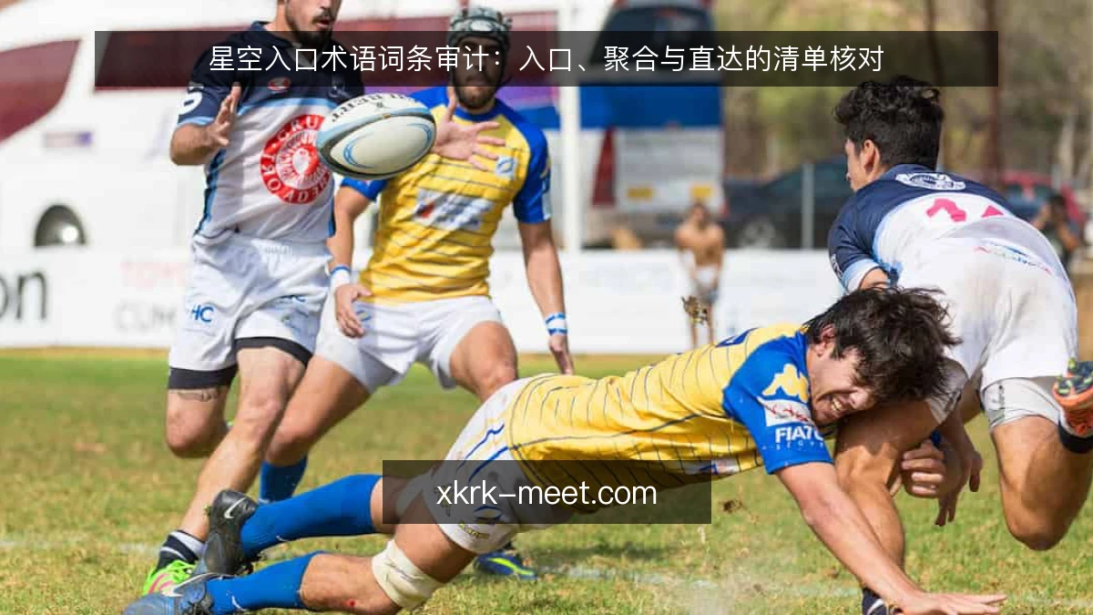 星空入口术语词条审计:入口、聚合与直达的清单核对